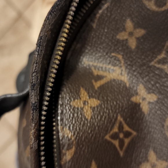 Louis VuittonPalm Springs Backpack Monogram Canvas PM - Picture 6 of 6